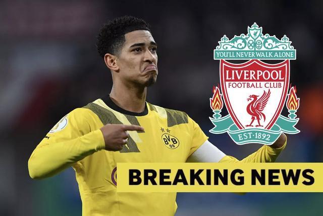 开云播报：以热爱之名，我们并肩